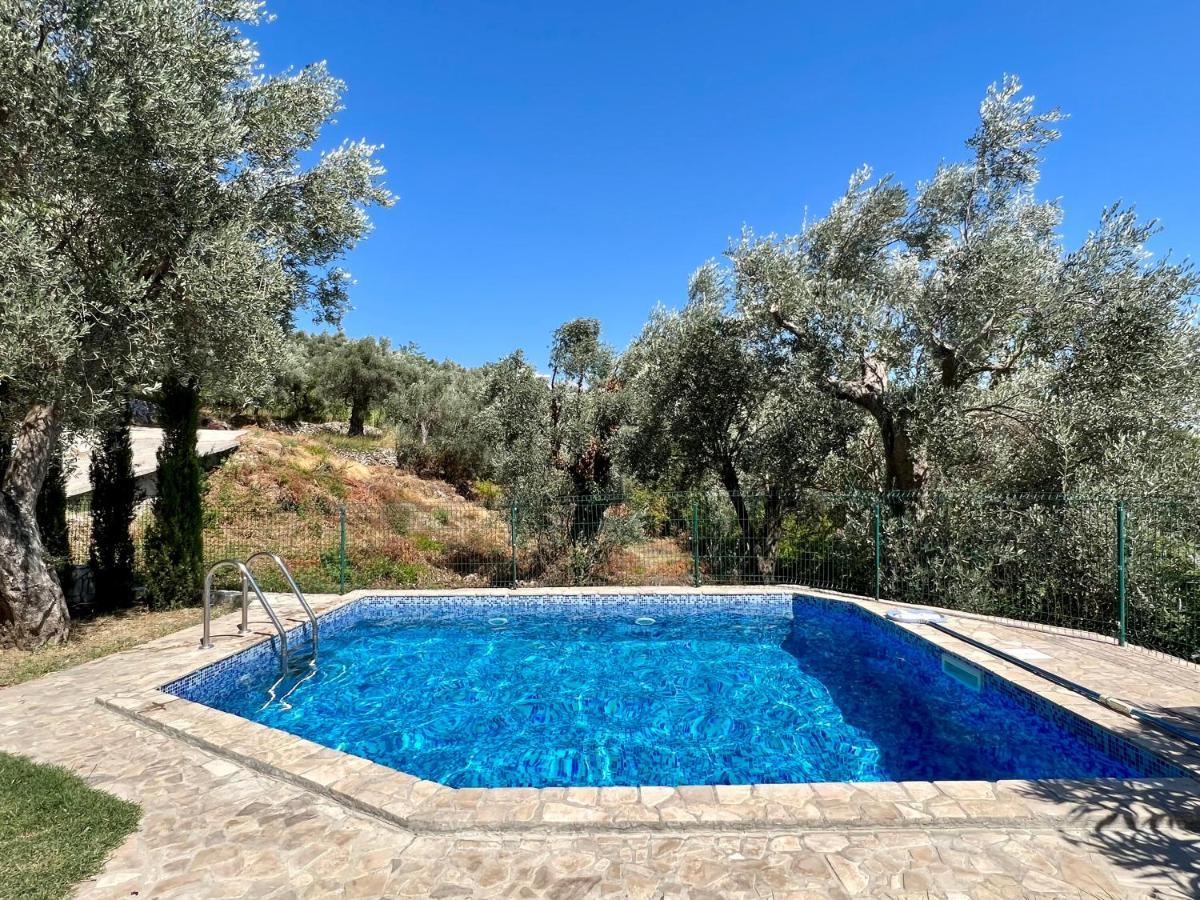 Green Villa in Olives Bar Esterno foto