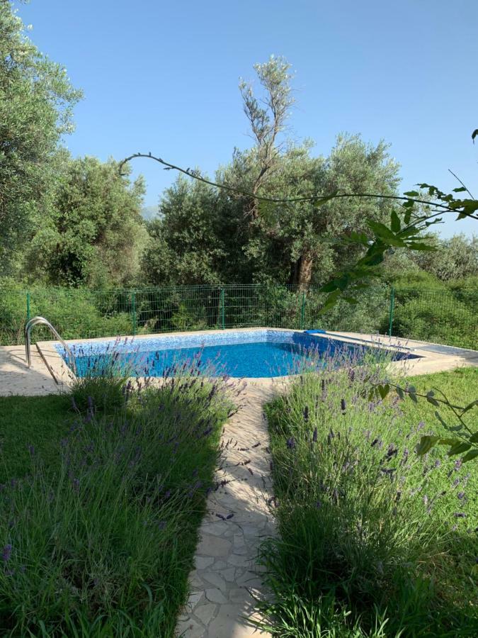 Green Villa in Olives Bar Esterno foto